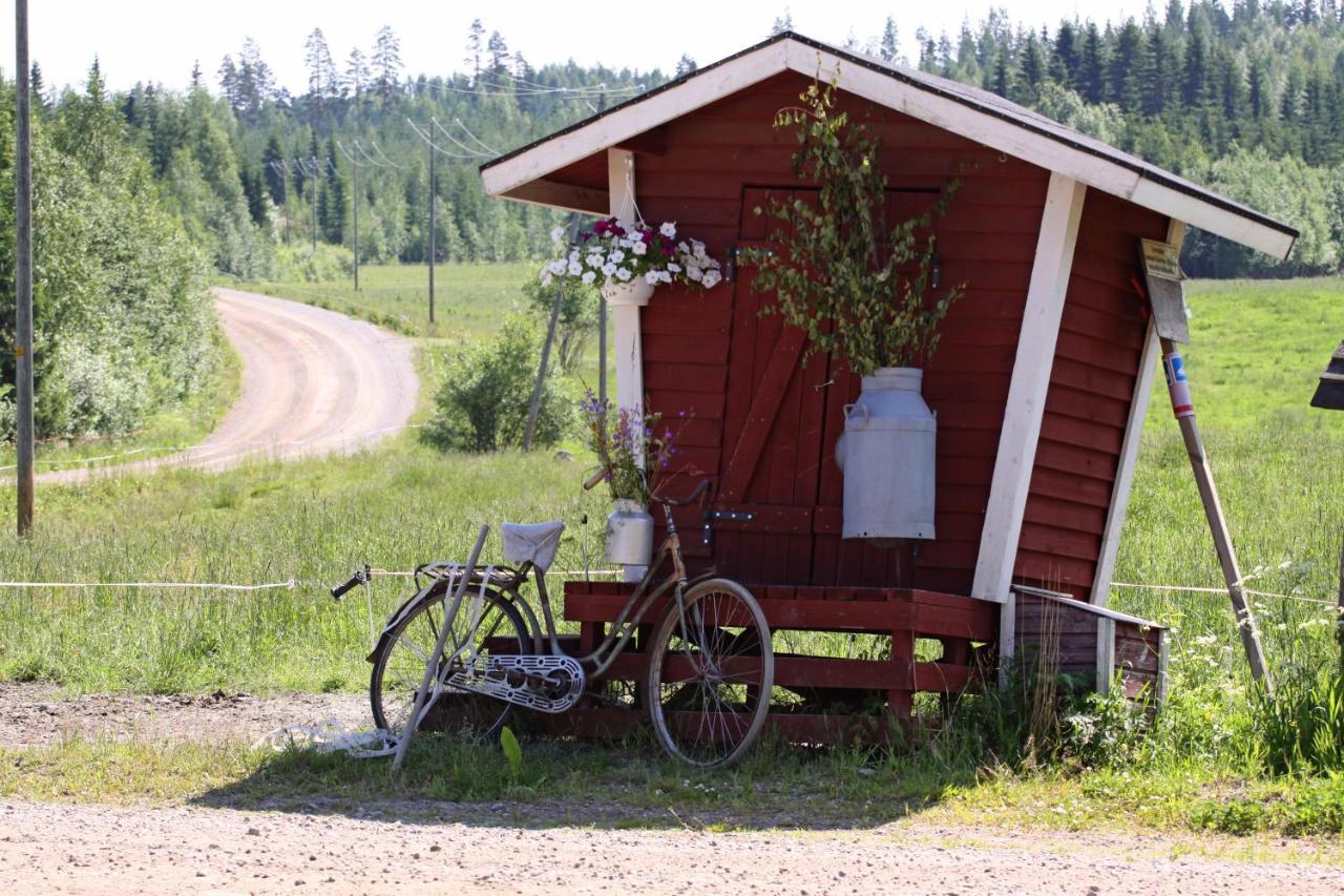Maekelaen Lomatuvat Bed And Breakfast Korkeakoski  Екстериор снимка