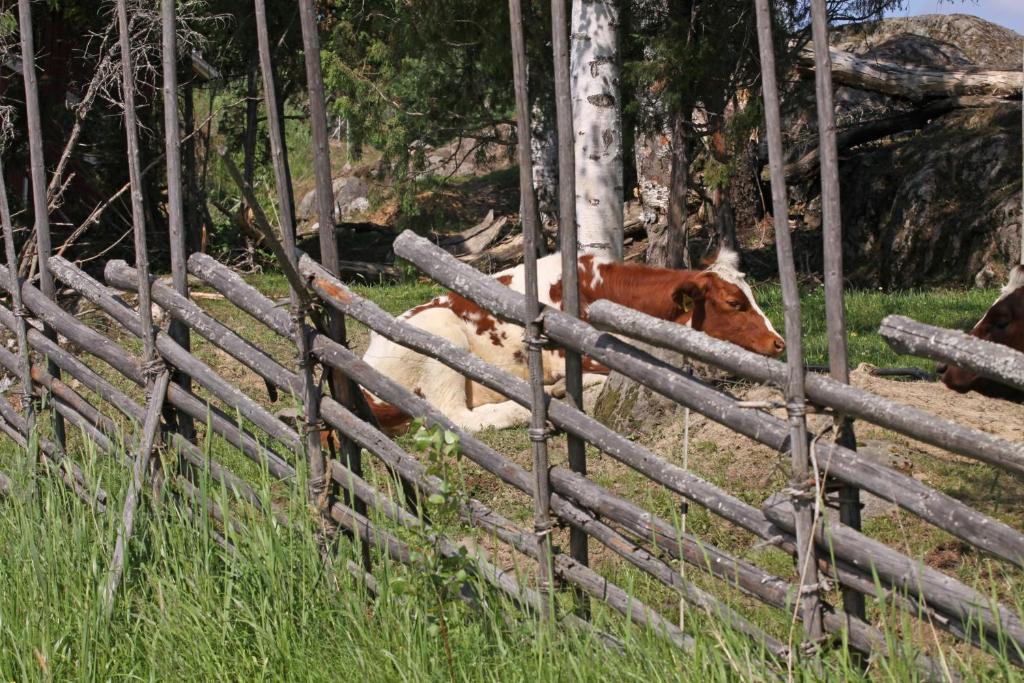 Maekelaen Lomatuvat Bed And Breakfast Korkeakoski  Екстериор снимка